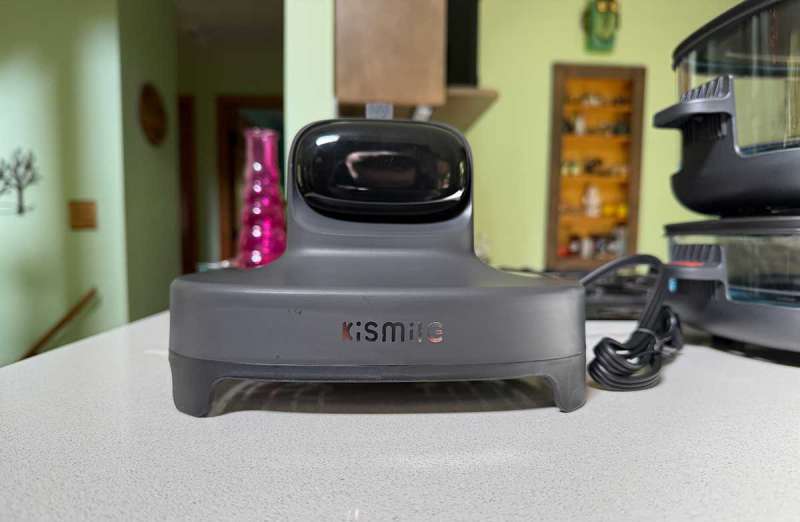 Kismile Roasti 10