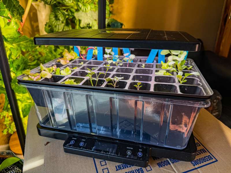 LetPot Seed Starter 1