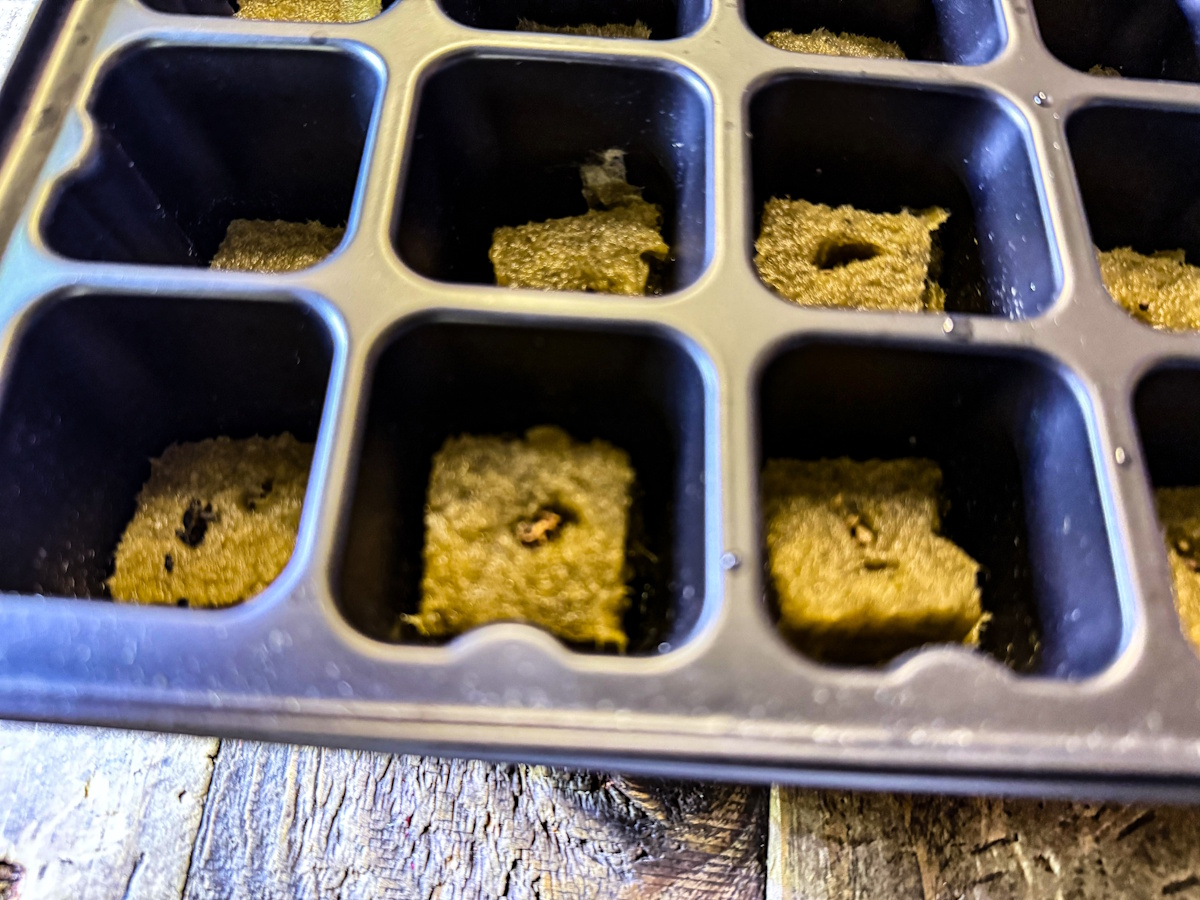 LetPot Seed Starter 11