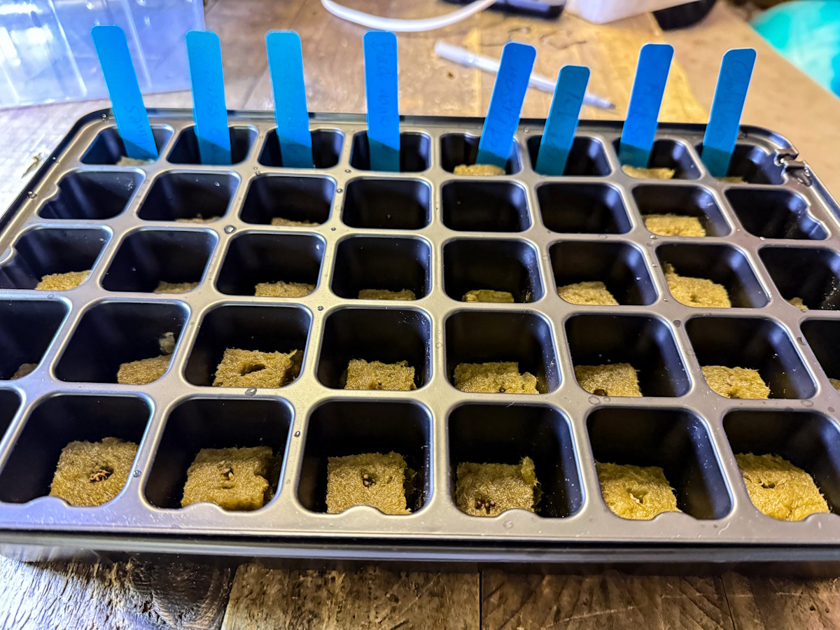 LetPot Seed Starter 12