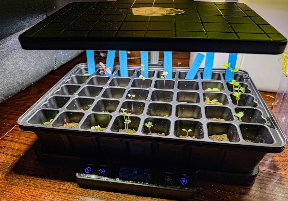 LetPot Seed Starter 14