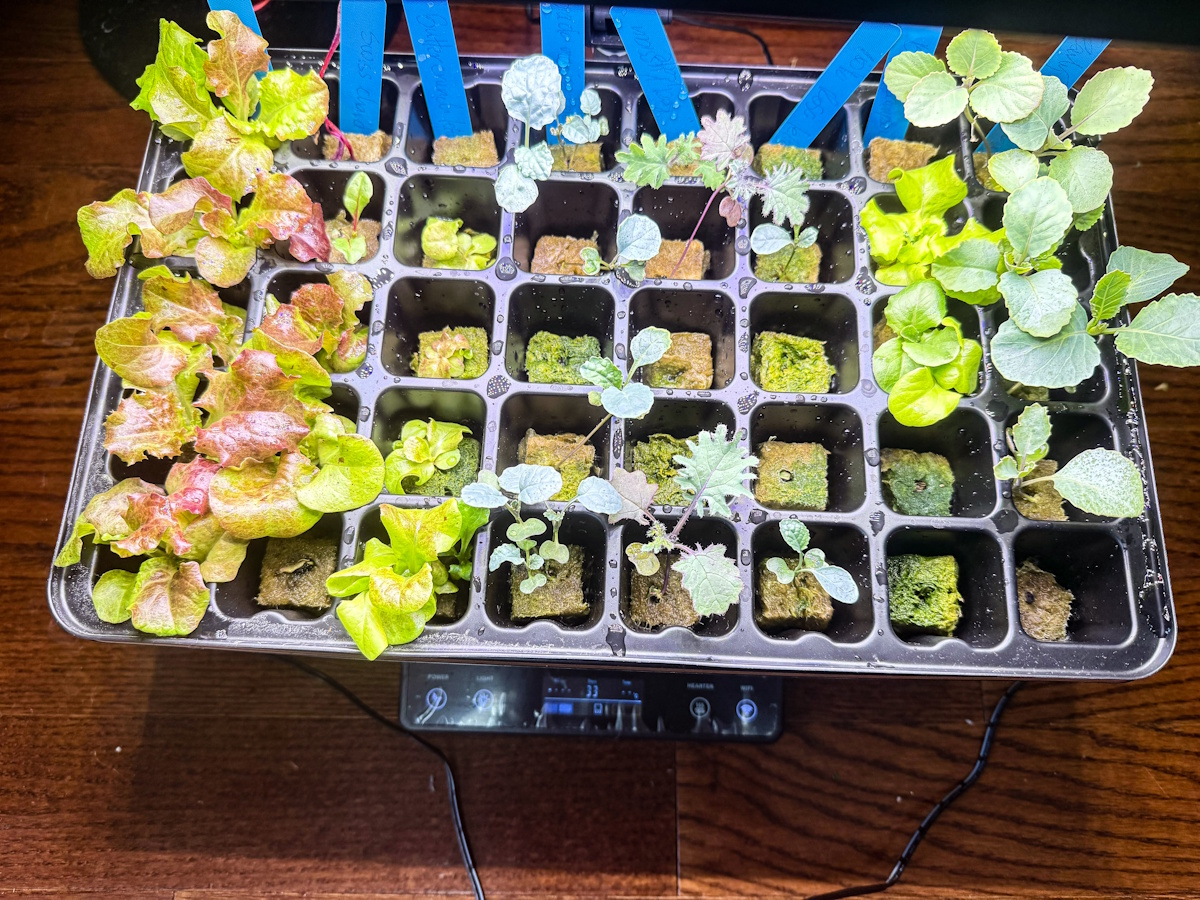 LetPot Seed Starter 9