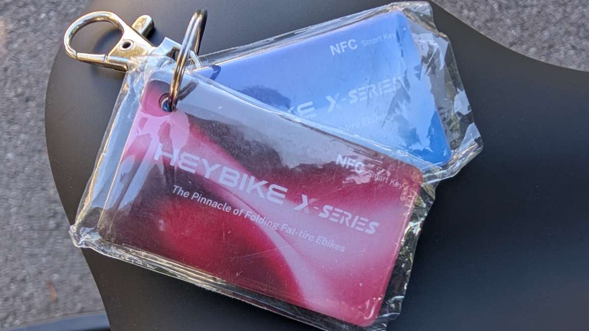 PXL 20251005 161721271