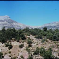 hp filmscan 16j