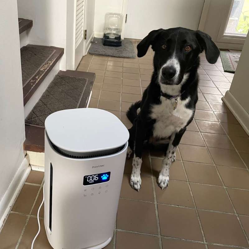 Provirtec AirPurifier 8