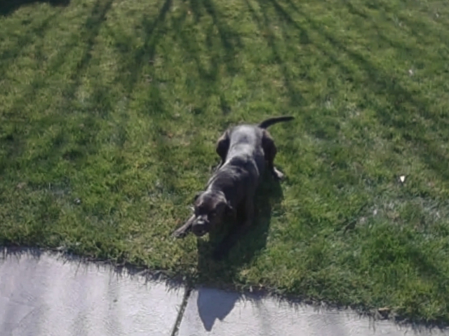 Thermal Master Thor002 21