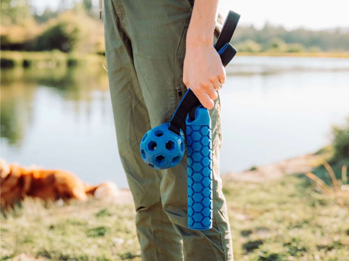 YETI™ Dog Bumper 2