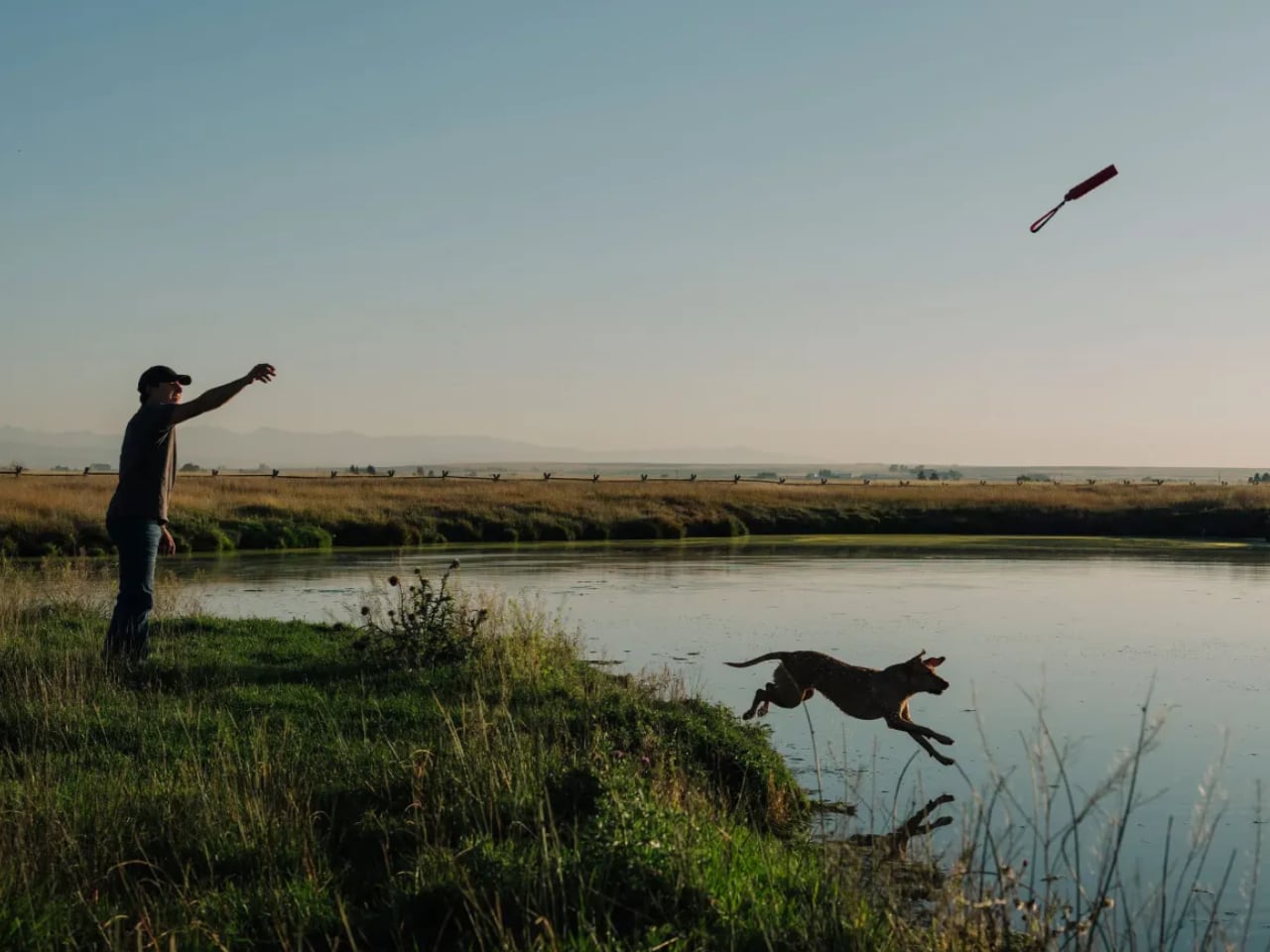 the-gadgeteer.com - Vincent Nguyen - The Company That Keeps Your Beer Cold Now Wants to Entertain Your Dog