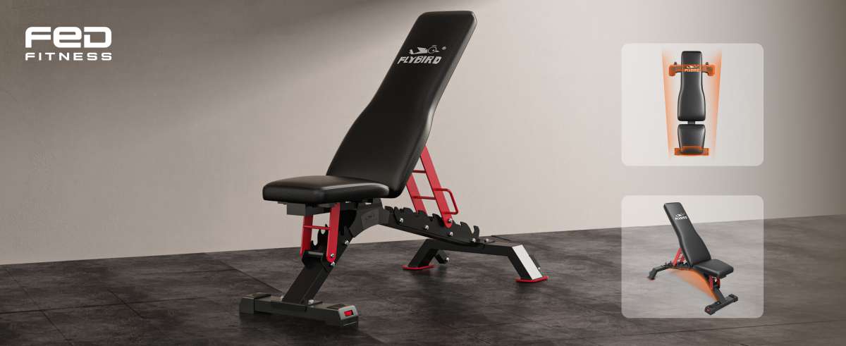 FED Fitness Flybird WB7 Weight Bench