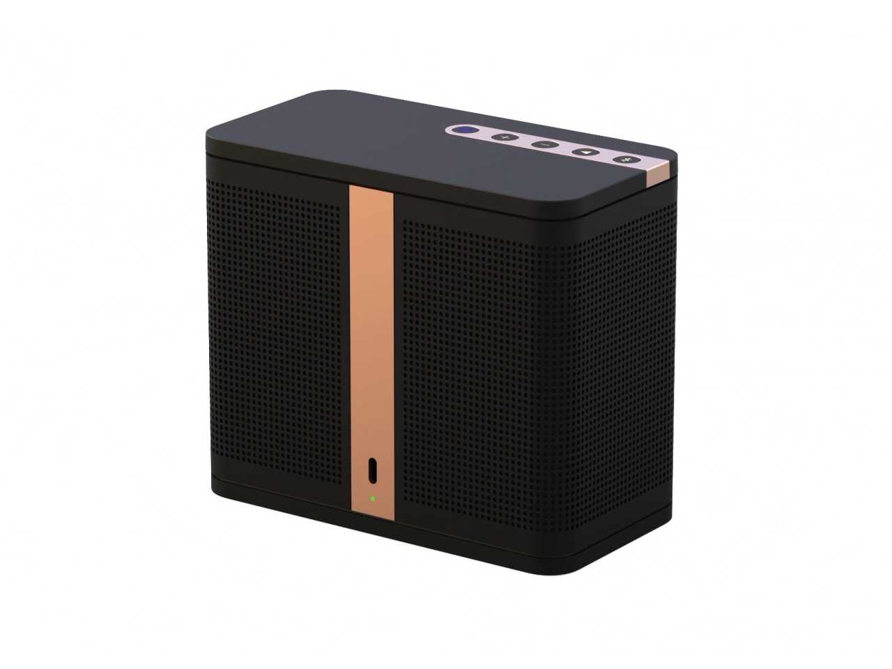 ELAC NAVA100 Portable Bluetooth Speaker Photos