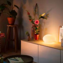 Philips Hue Flourish Table Lamp Price