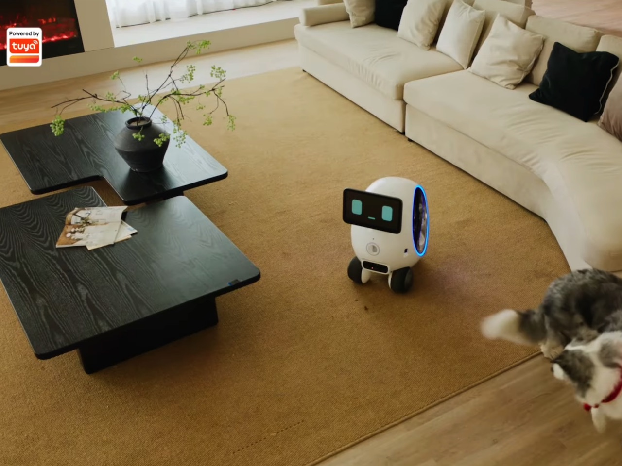 Tuya Smart Aura AI Companion Robot for Pets Buy Now
