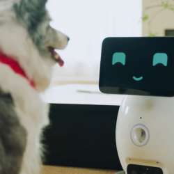 Tuya Smart Aura AI Companion Robot for Pets Demo