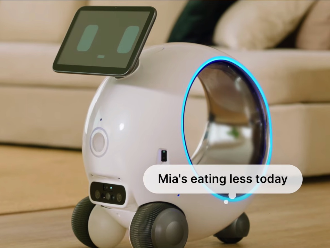 Tuya Smart Aura Pet Babysitter Features