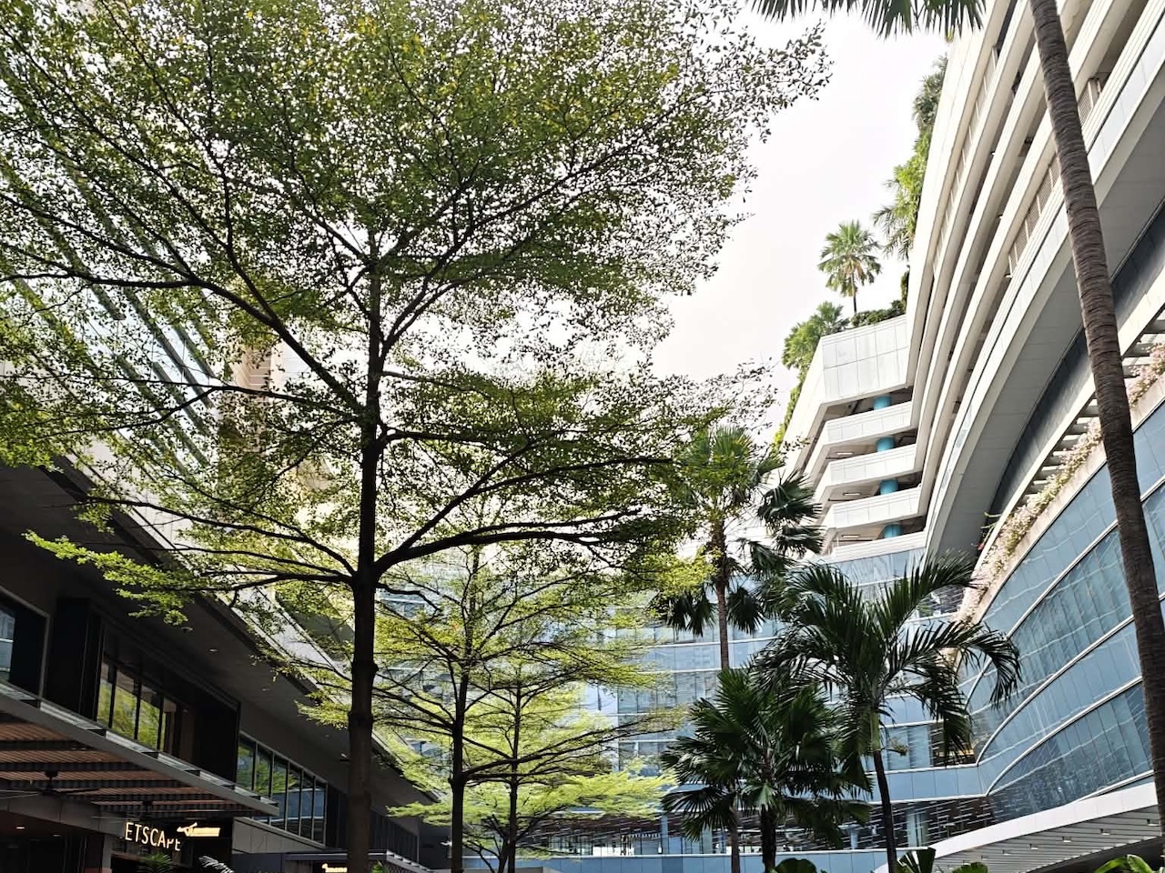 667ee458 ca41 4087 9f66 e95b51410e21