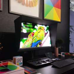 Dell UltraSharp U3226Q Monitor Price