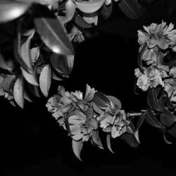 Ricoh GR IV Monochrome Camera Price