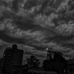 Ricoh GR IV Monochrome Camera Specs