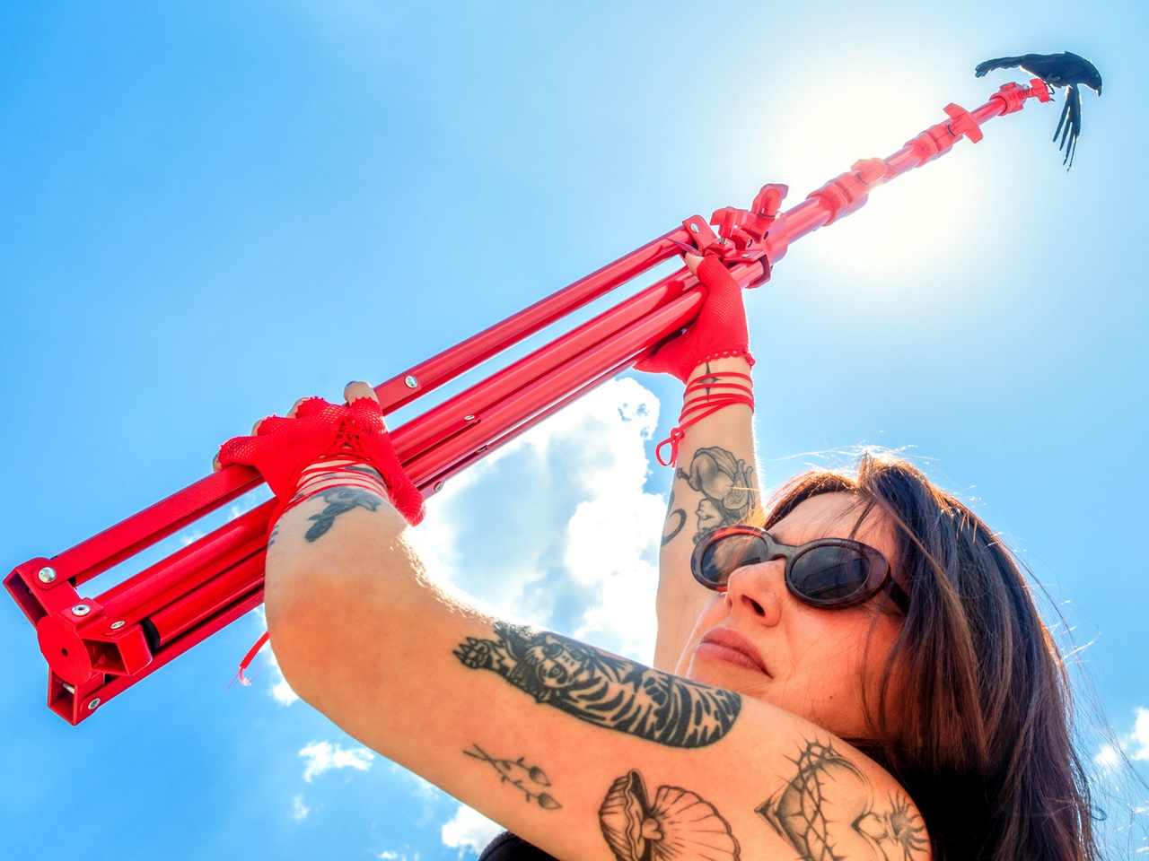 Surrounded by Light Lightstand Availability