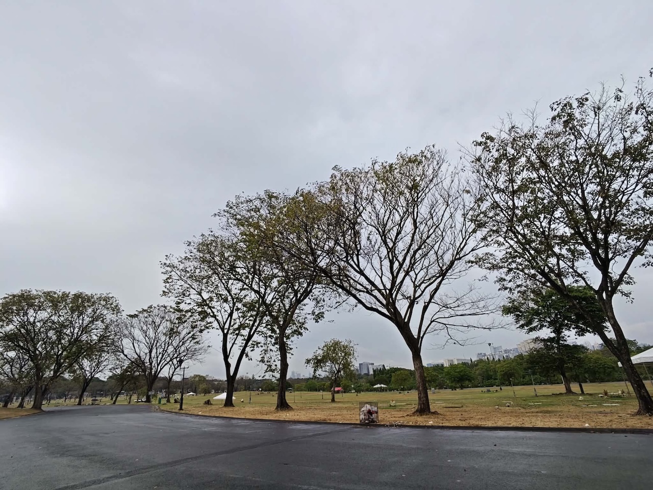 Xiaomi 17 Camera Photos