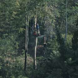 HONOR Magic V6 Design