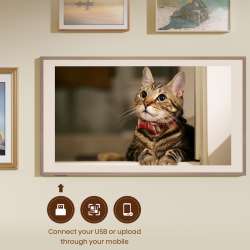 Hisense CanvasTV 50S7SG Price