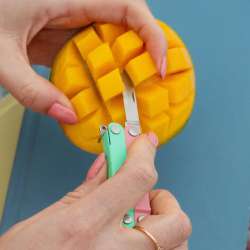 Leatherman S26 Micra Multi-tool Price