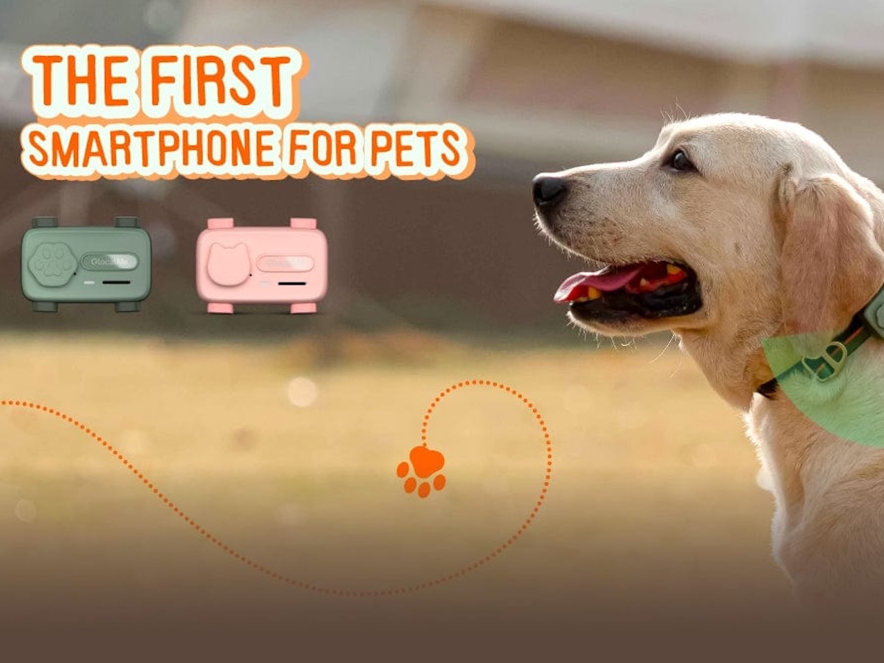 PetPhone Review