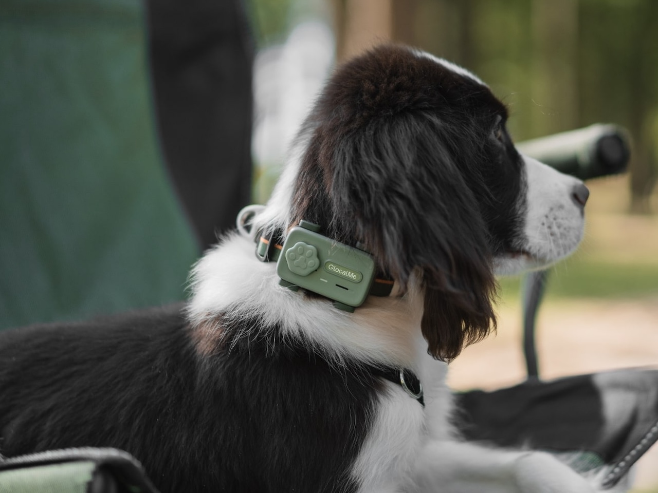 PetPhone Smartphone for Pet Specs