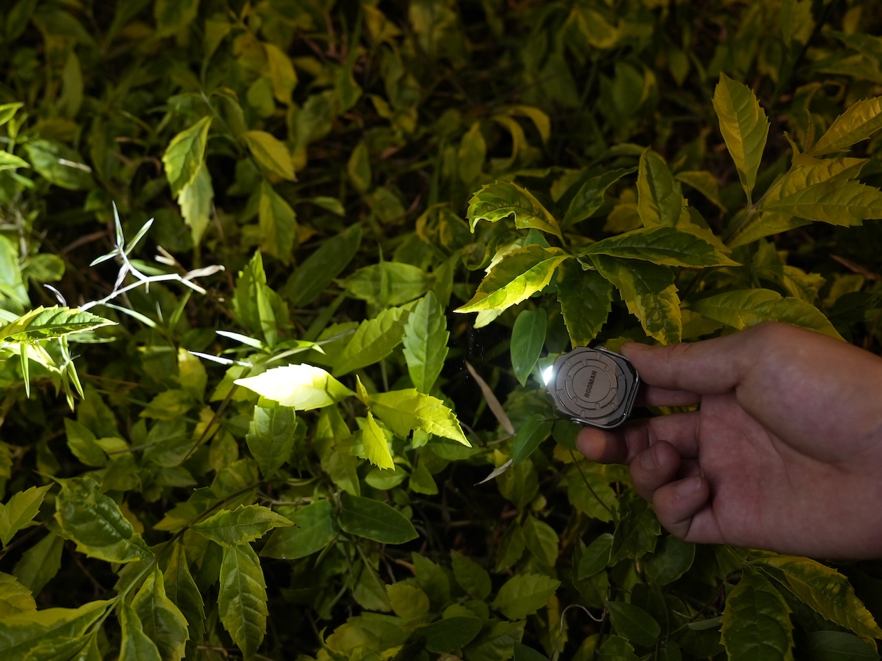 Rodman ED08 EDC Titanium Flashlight Where to Buy