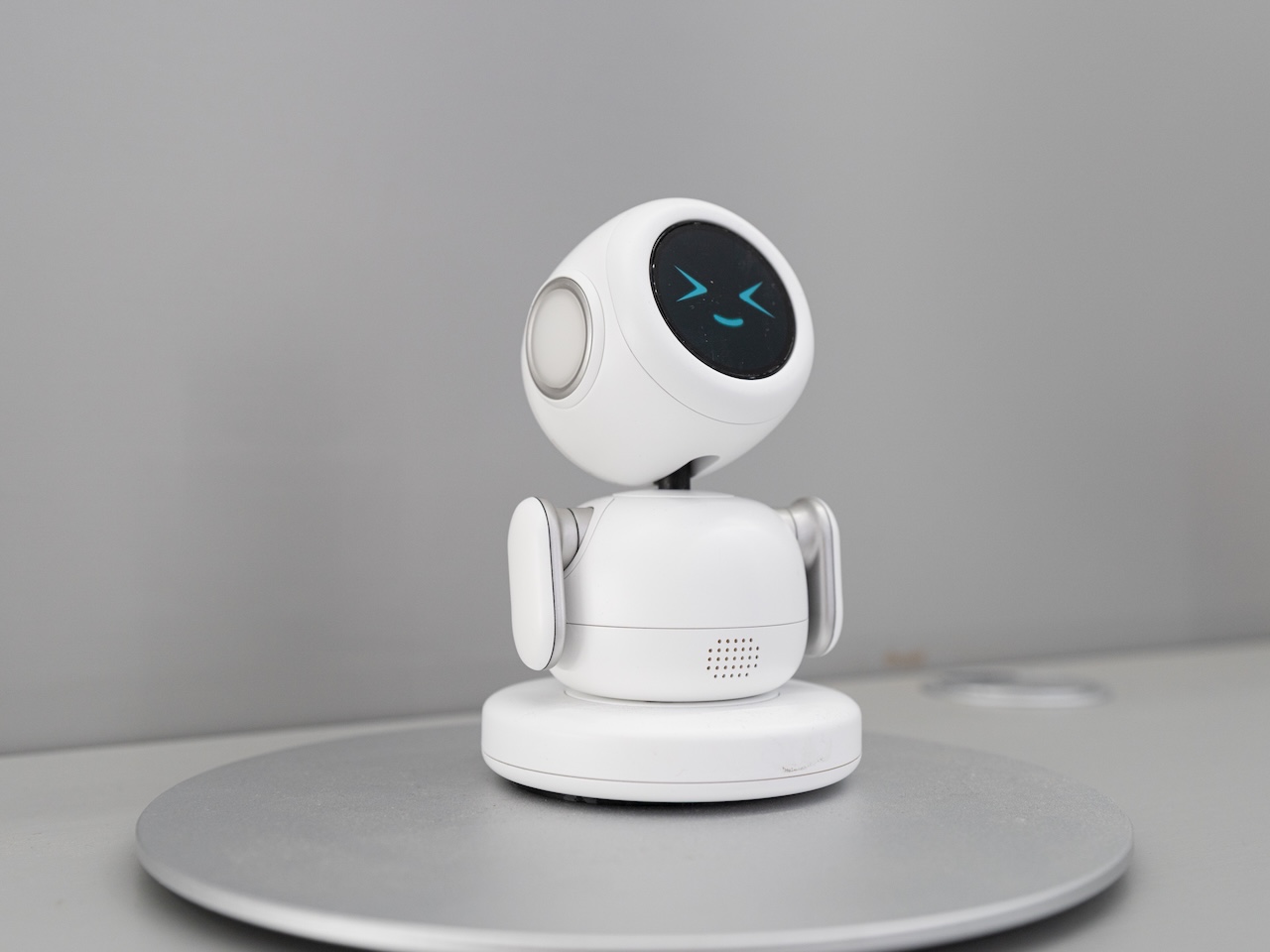 Samsung Display Mini PetBot Features