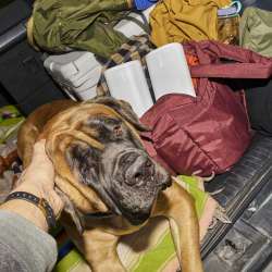 Sonos Play System Review