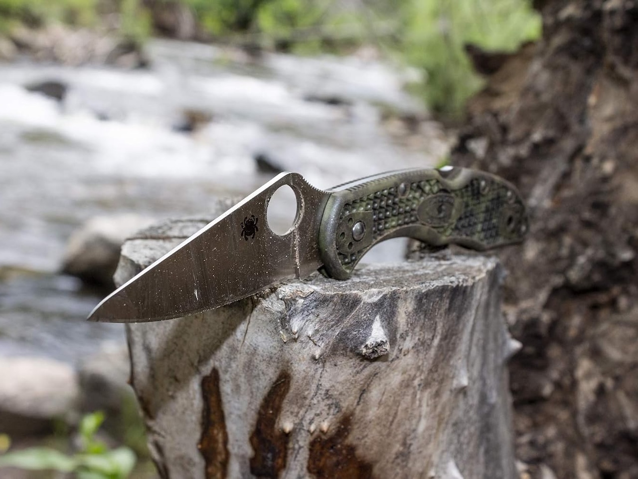 Spyderco Delica