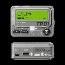 Trozk Beeper Power Bank Gray