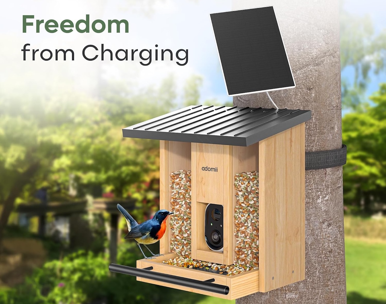 Adomii Outdoor Smart AI Bird Feeder Camera