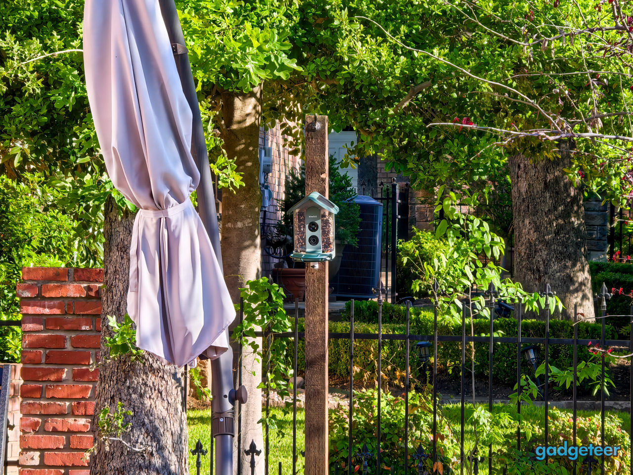 Kiwibit Bird Feeder 2 Review 1