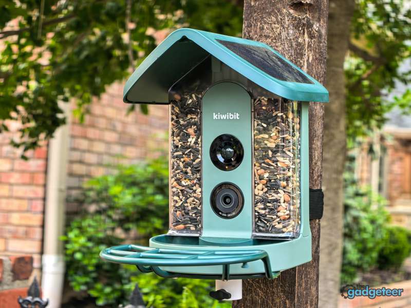 Kiwibit Bird Feeder 2 mounted on a pole in a backyard with its teal solar roof visible