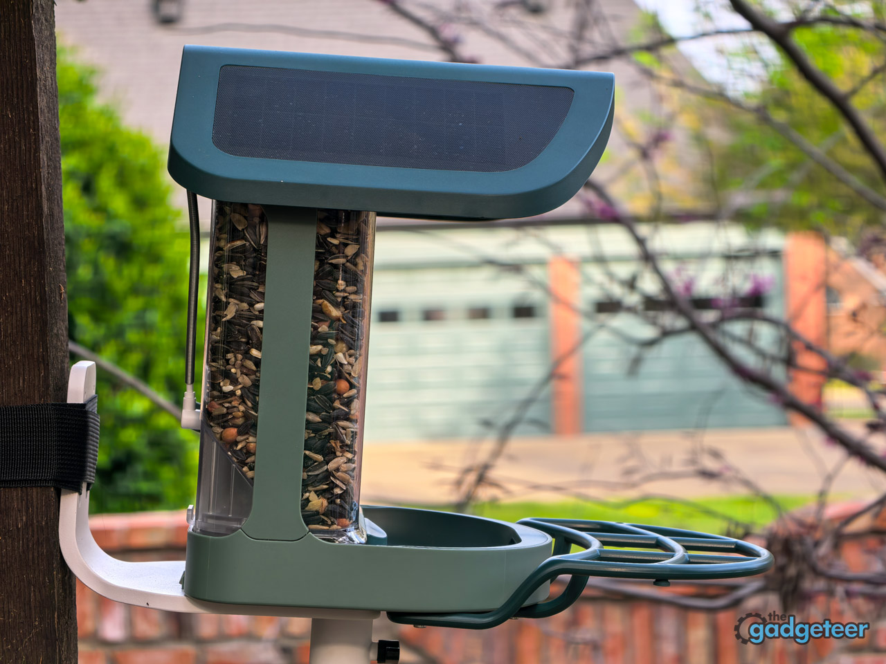 Close-up of the Kiwibit Bird Feeder 2 dual 4.4W solar panel roof