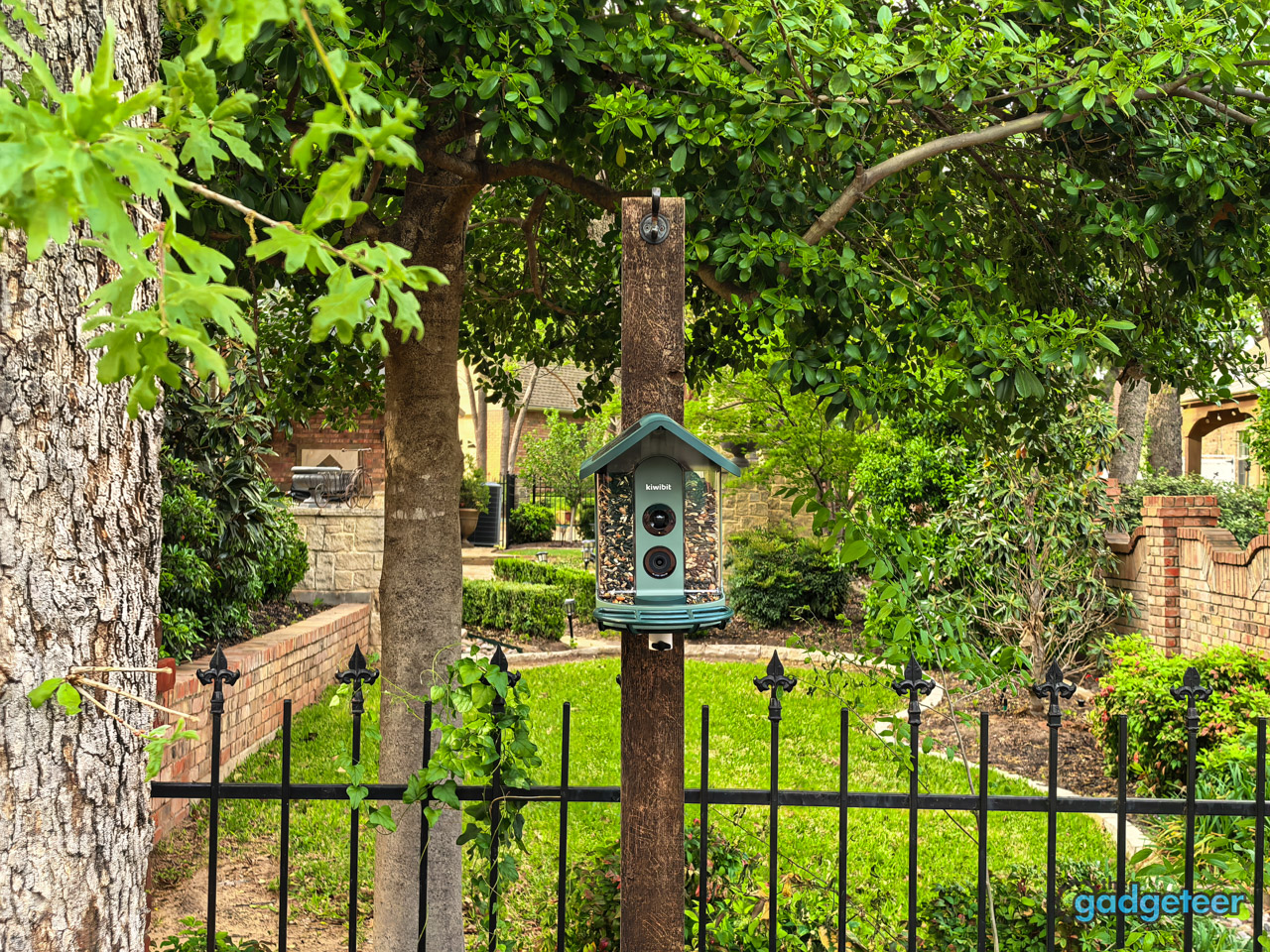 Kiwibit Bird Feeder 2 installed on a backyard pole mount with solar roof charging in sunlight