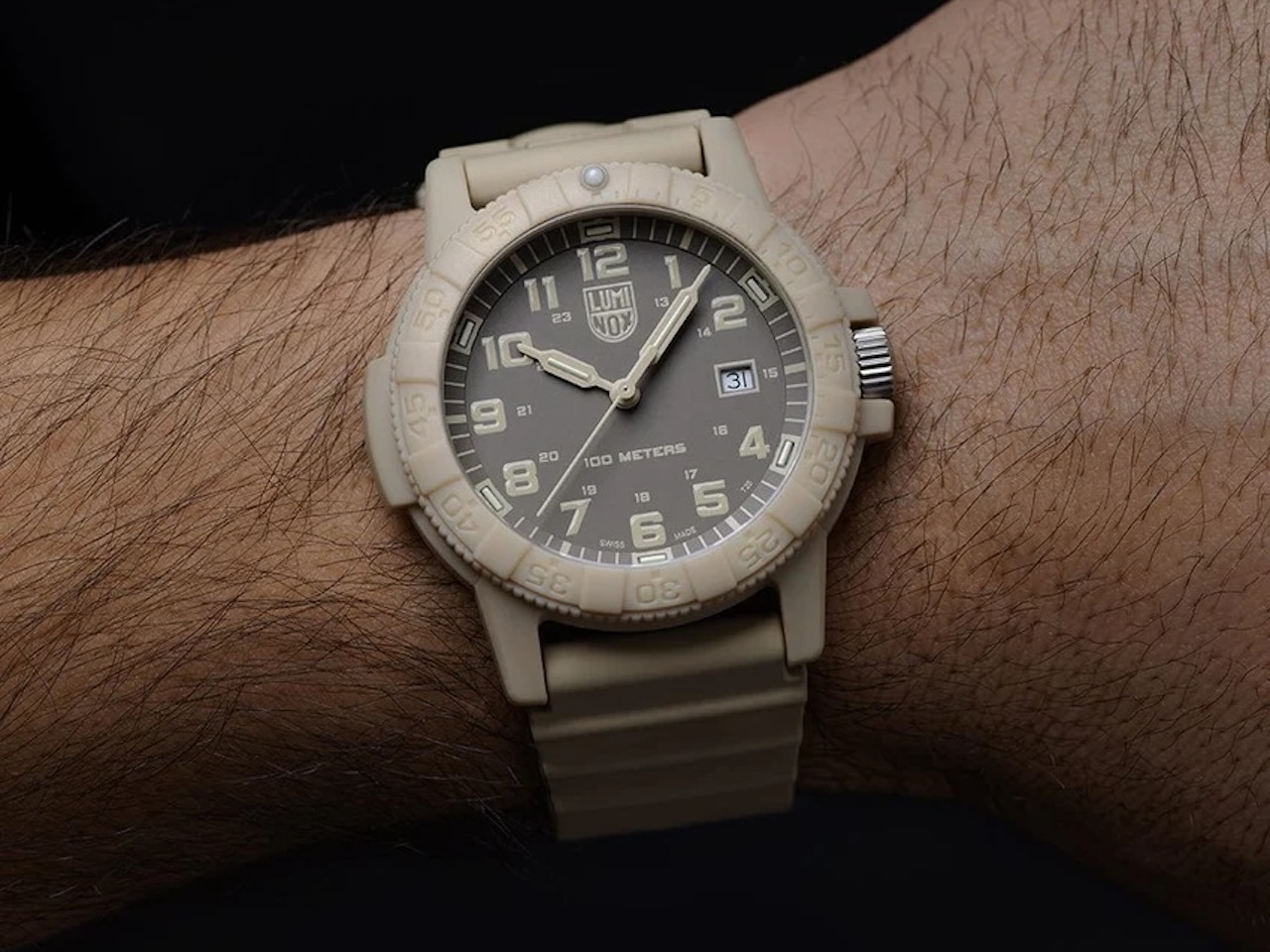 Luminox Leatherback Sea Turtle Giant Watch