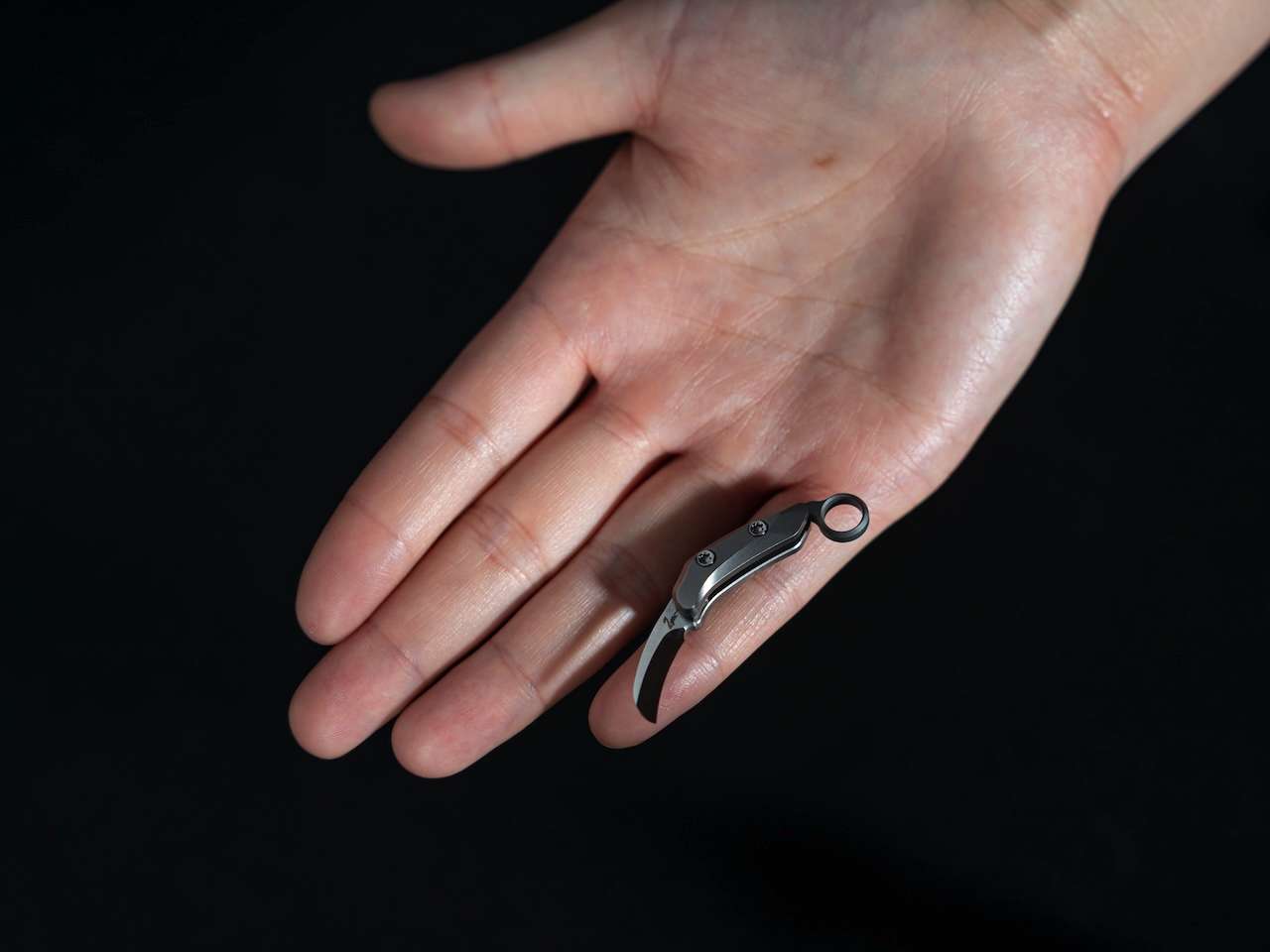 NanoArc Curved Titanium Micro EDC in M390 Images