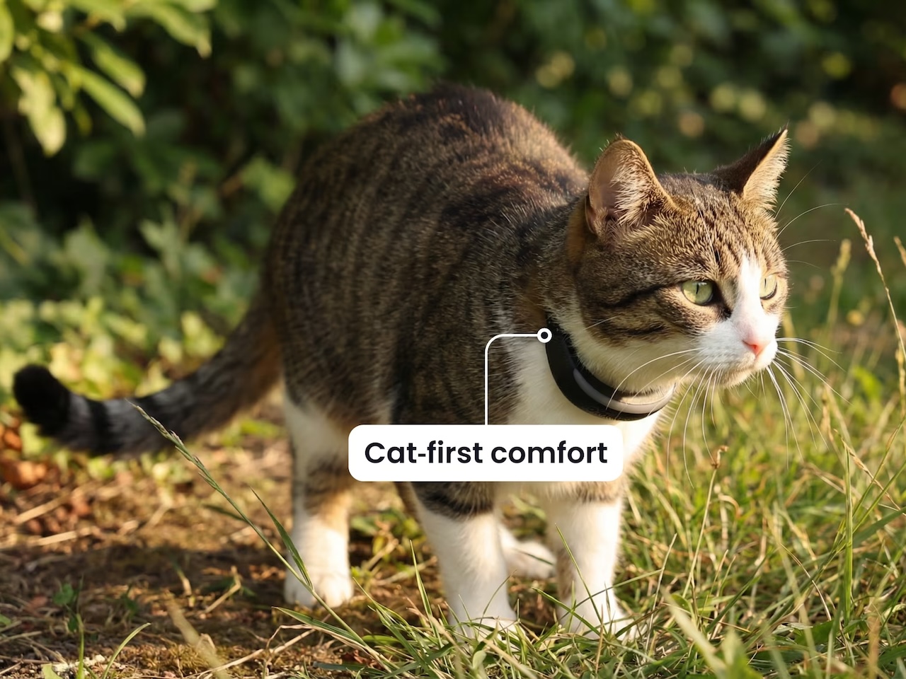 Tractive Pet Tracker