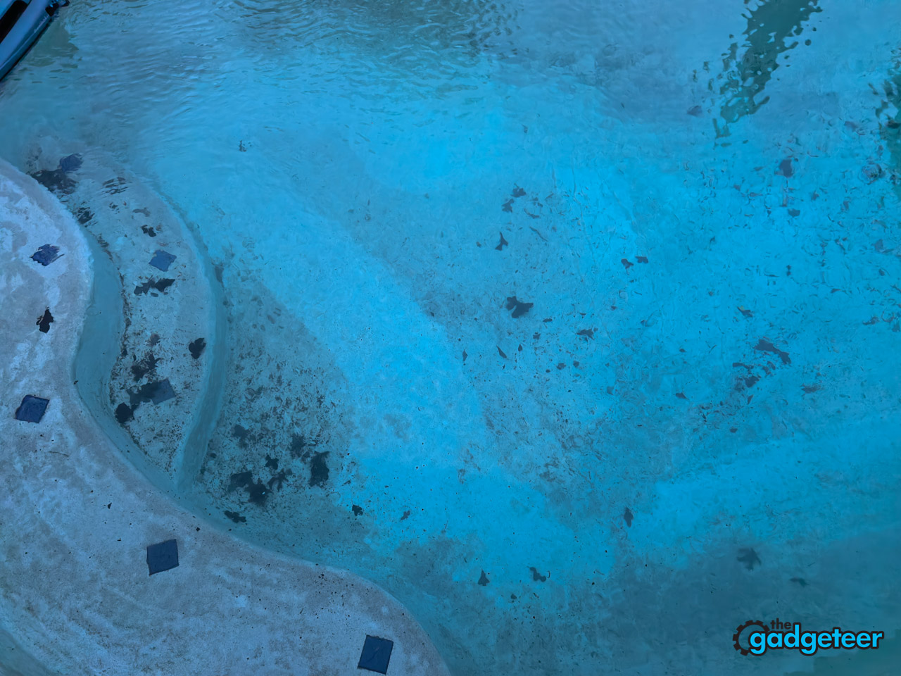 beatbot astrorinse aquasense x review the gadgeteer 44