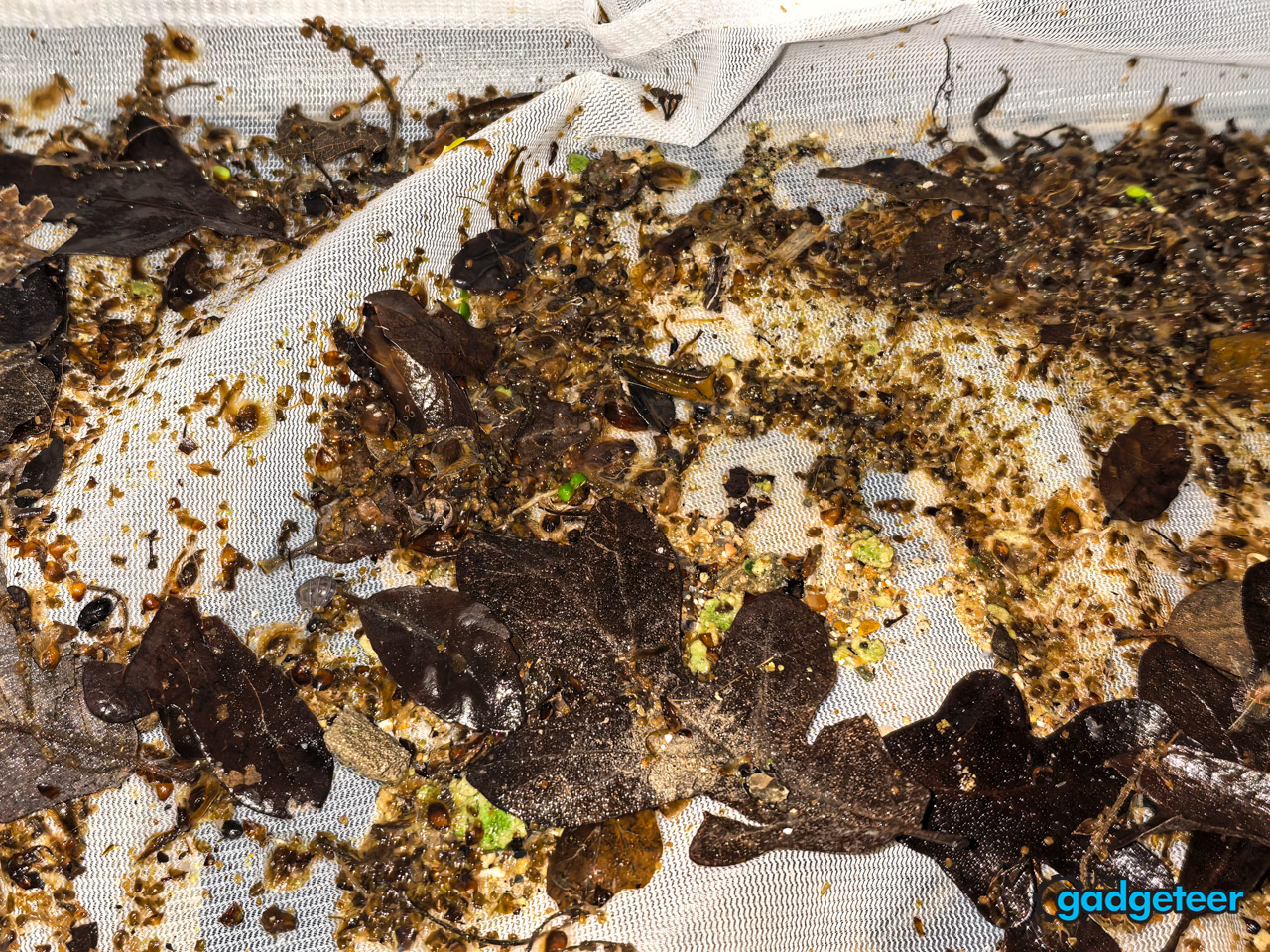 beatbot astrorinse aquasense x review the gadgeteer 54