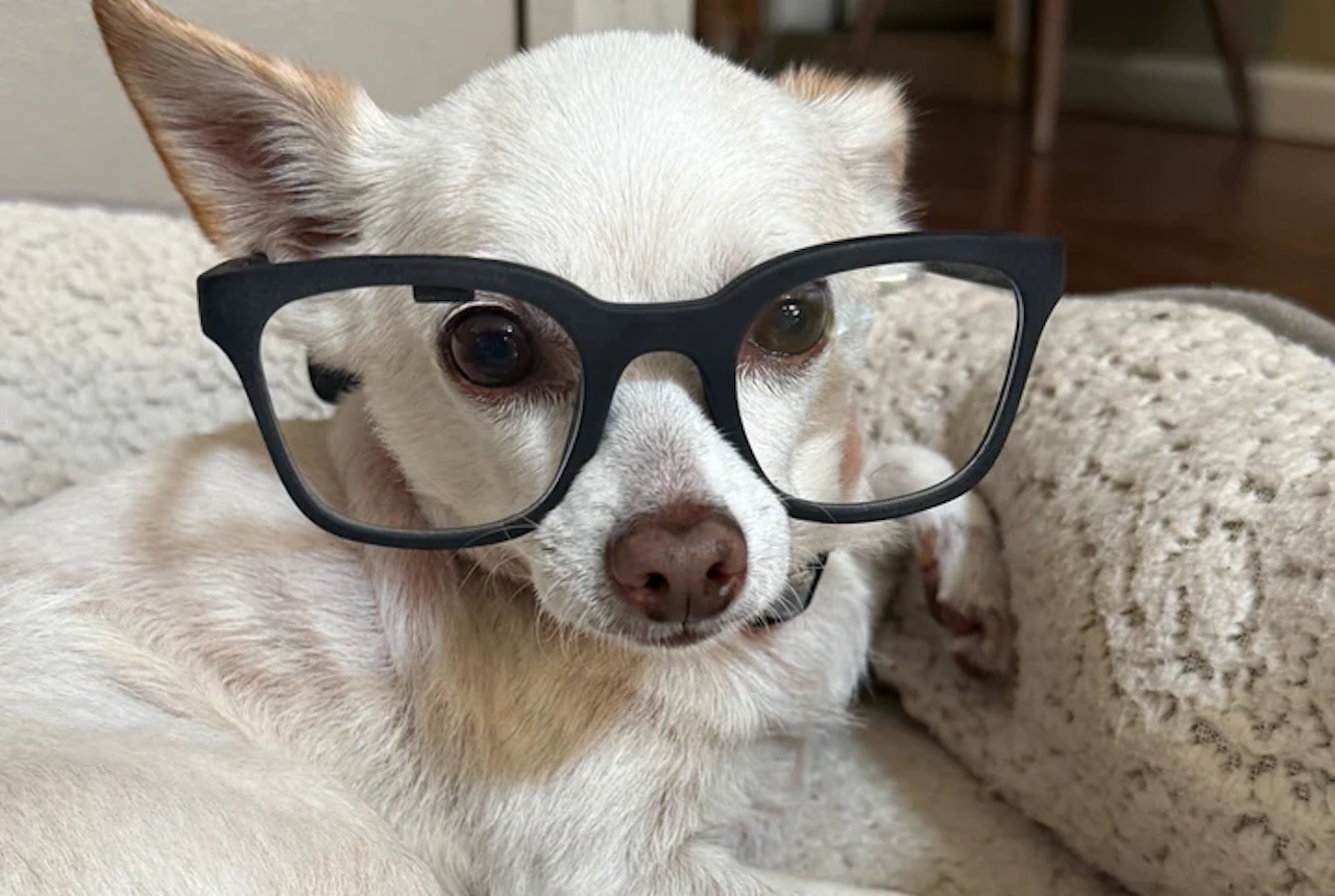 Brilliant Labs Halo AI Glasses