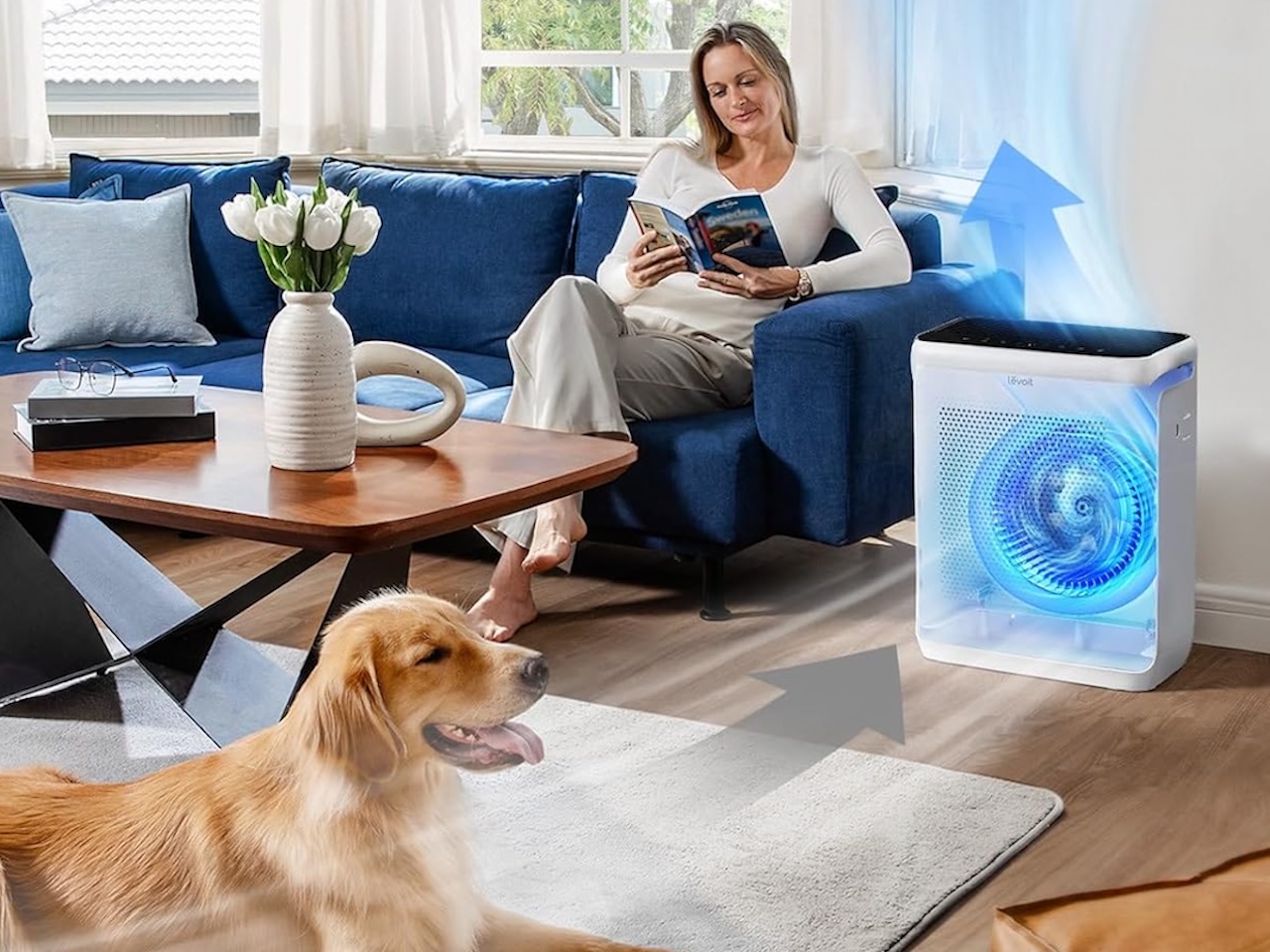 5 Smart Air Purifiers Sized to Your Worst Air Days