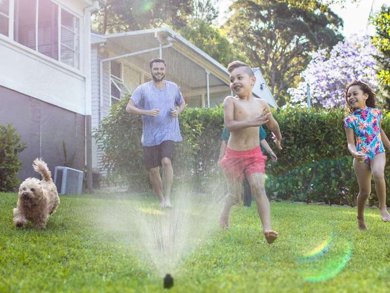 5 Smart Garden Gadgets That Practically Grow Plants for You