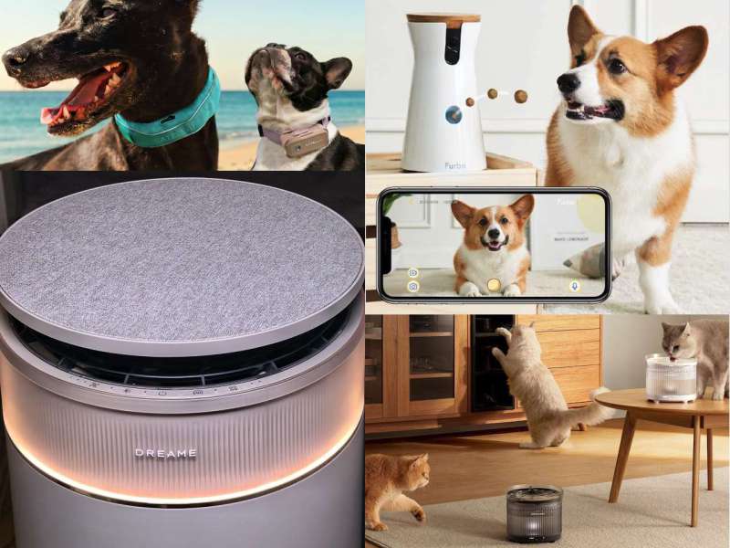 6 Best Pet Care Gadgets to Buy on Prime Day 2026