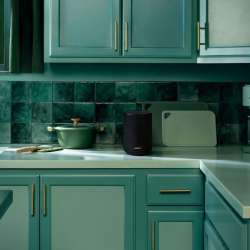 Bose New Lifestyle Ultra Speaker Price