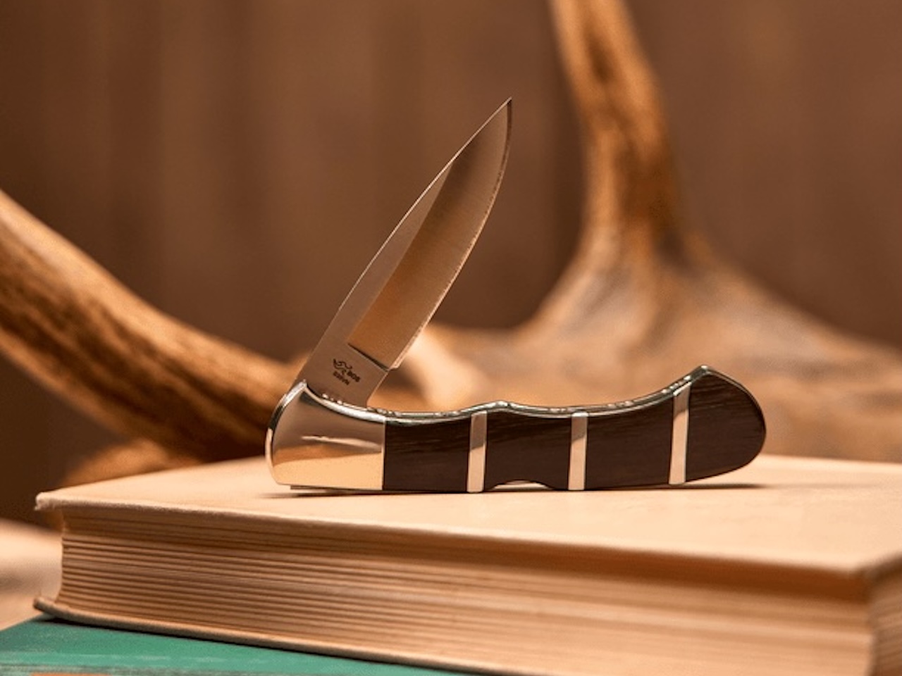Buck Knives 532 BuckLock Design
